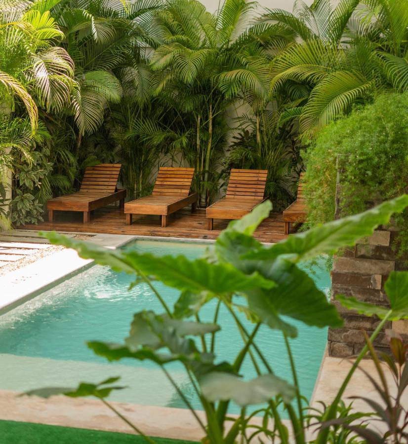 Hotel Muyu ตูลุม ภายนอก รูปภาพ